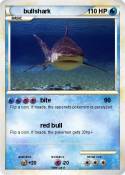 bullshark