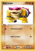 Bully koopa