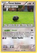 Hover Guinea Hover Guinea