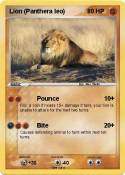 Lion (Panthera