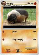 fat pig fat pig