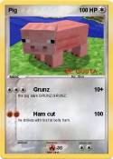 Pig