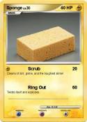 Sponge