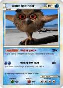 water hoothoot