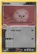 evil kitty