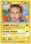 david david