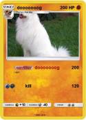 dooooooog