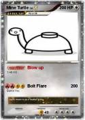 Mine Turtle