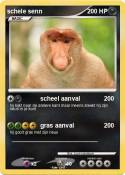 schele senn