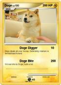 Doge