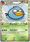 Crazy Bird