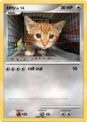 kitty