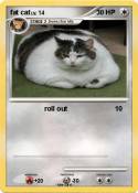fat cat