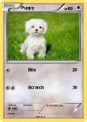 Puppy