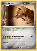 Wow Cat