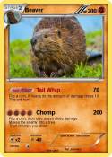 Beaver