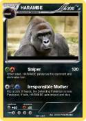 HARAMBE