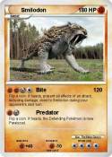 Smilodon Smilodon