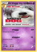 the shaggy dog