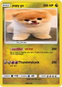 pupy gx