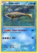 platecarpus