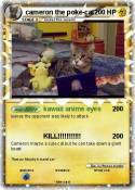 cameron the poke-cat cameron the