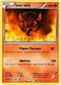Team Valor