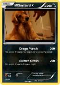 MCharizard X
