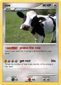 cow