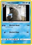 I HAS A BUCKET