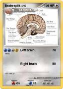 Brain-split Brain-split