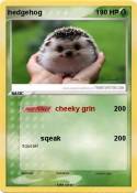hedgehog