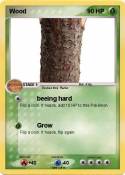 Wood