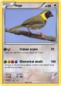 Naga