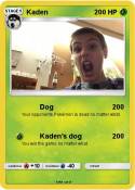 Kaden