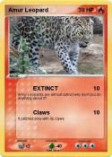 Amur Leopard