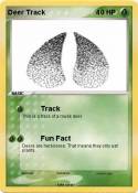 Deer Track