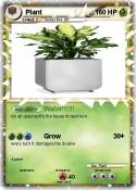 Plant