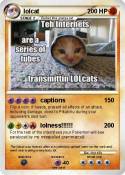 lolcat