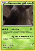 puppy monkey