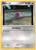 Ditto