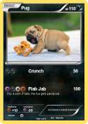 Pug