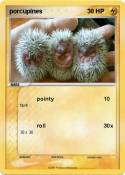 porcupines