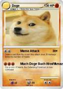 Doge