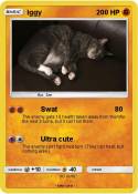 Iggy