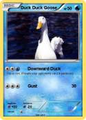 Duck Duck Goose