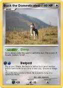 Buck the