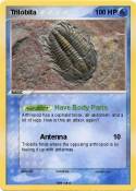 Trilobita