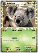 kola bear