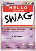Swegger
